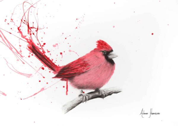 Ashvin Harrison Art- Curious Cardinal