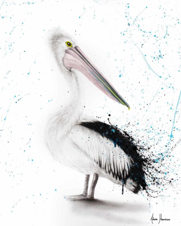 Ashvin Harrison Art- Proud Pelican