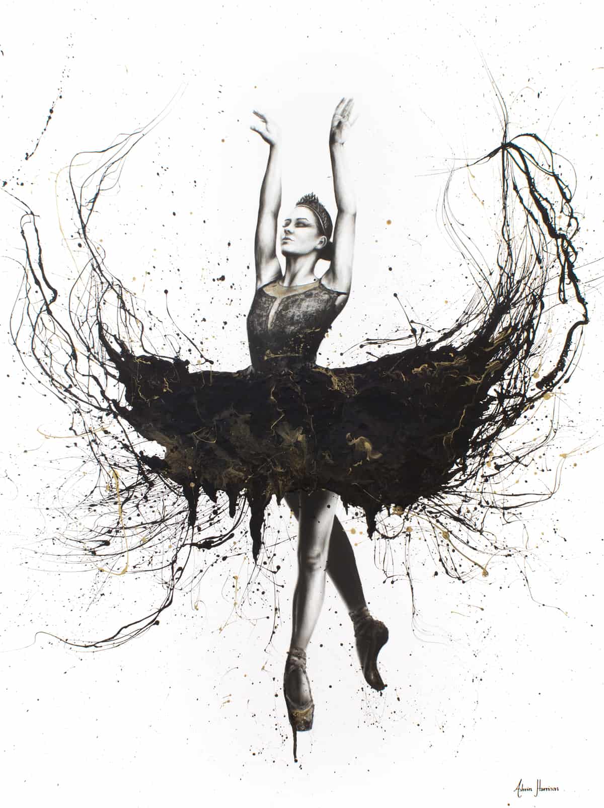 The Black Swan Original Australian Art | Ashvin Harrison