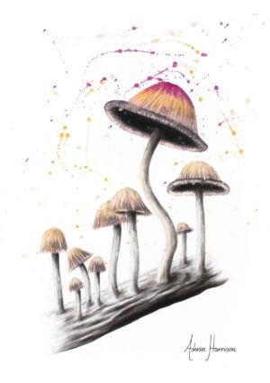 Ashvin Harrison Art- Mushroom Dance