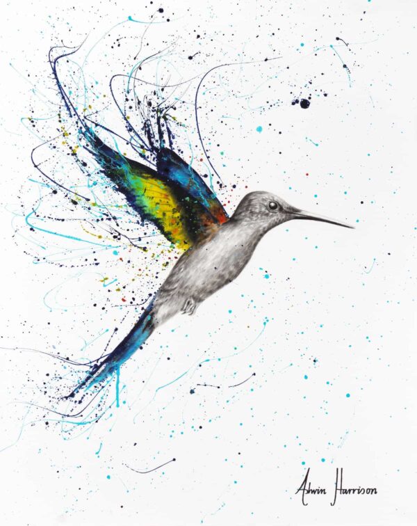 Ashvin Harrison Art- Happy Hummingbird