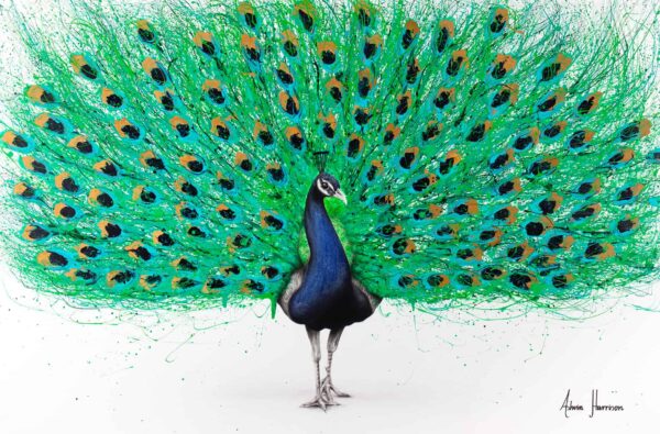 Ashvin Harrison Art- Proud Peacock