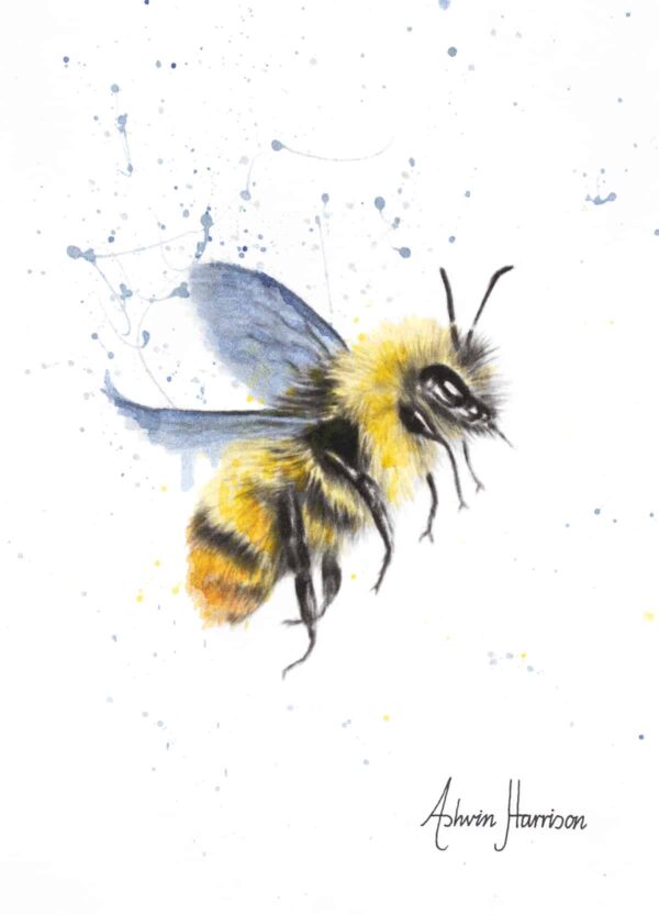 Ashvin Harrison Art- Sun Bee