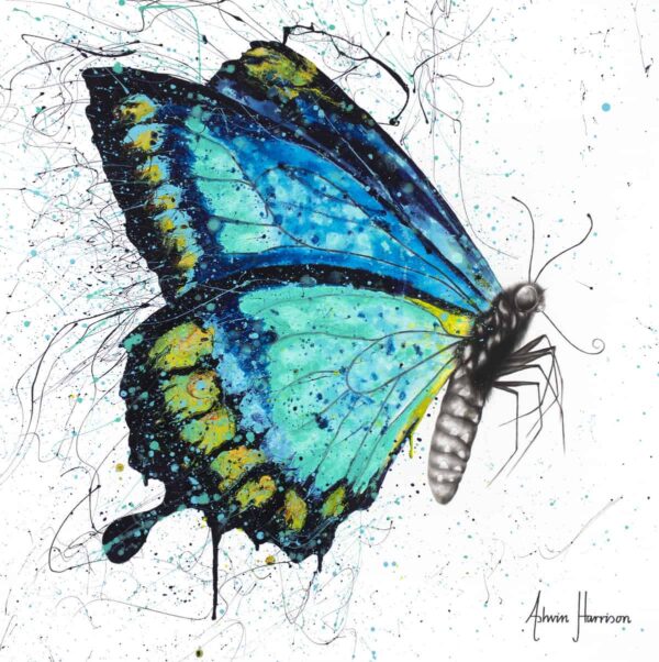 Ashvin Harrison Art- Morning Citrus Butterfly