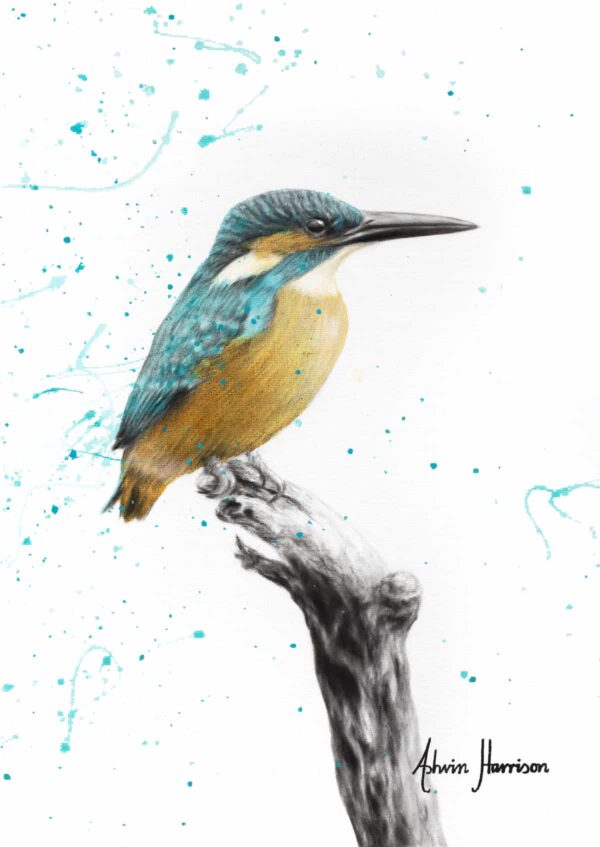 Ashvin Harrison Art- The Knowing Kingfisher