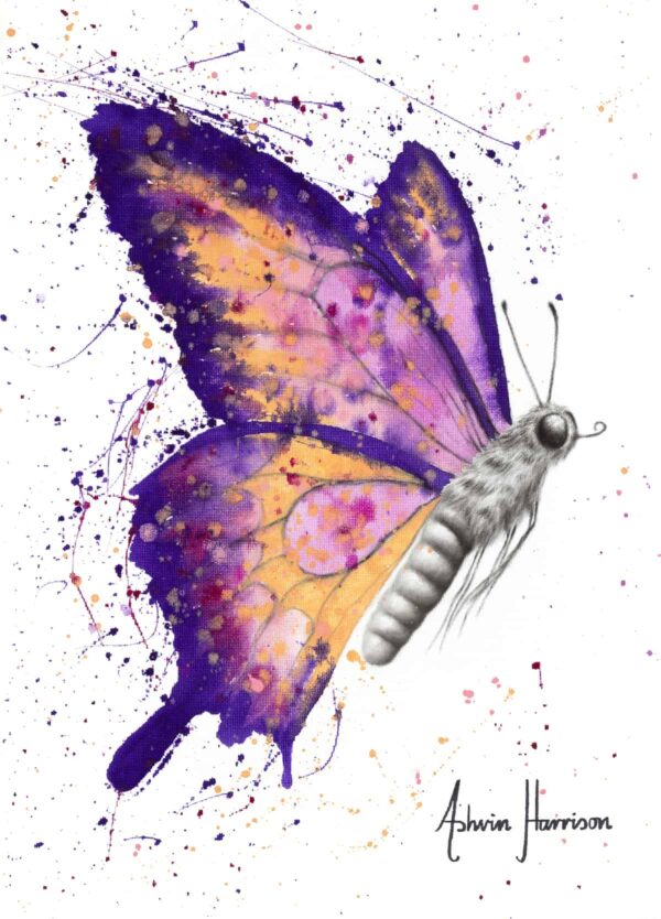 Ashvin Harrison Art- Venus Sunset Butterfly