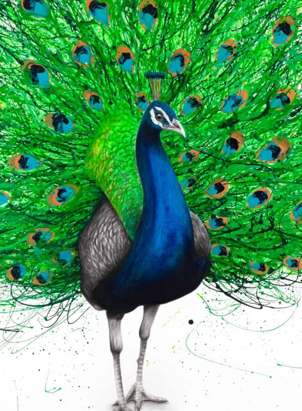 Ashvin Harrison Art- Prancing Peacock 3