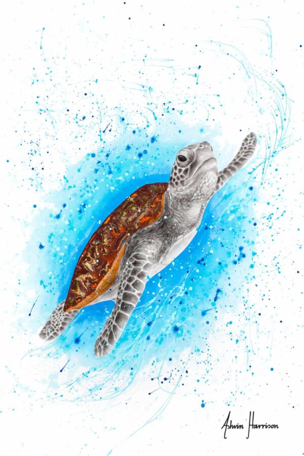 Ashvin Harrison Art- Happy Sea Turtle 4