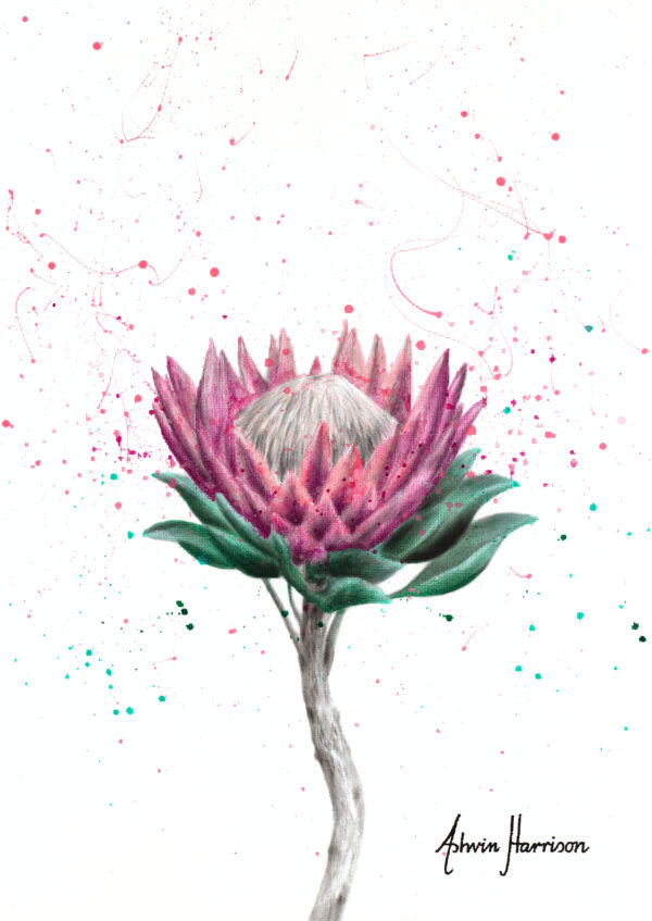 Ashvin Harrison Art- Sugarbush Flower