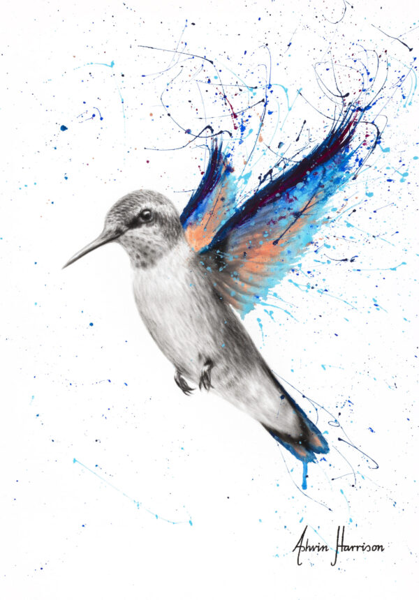 Ashvin Harrison Art- Azul Hummingbird