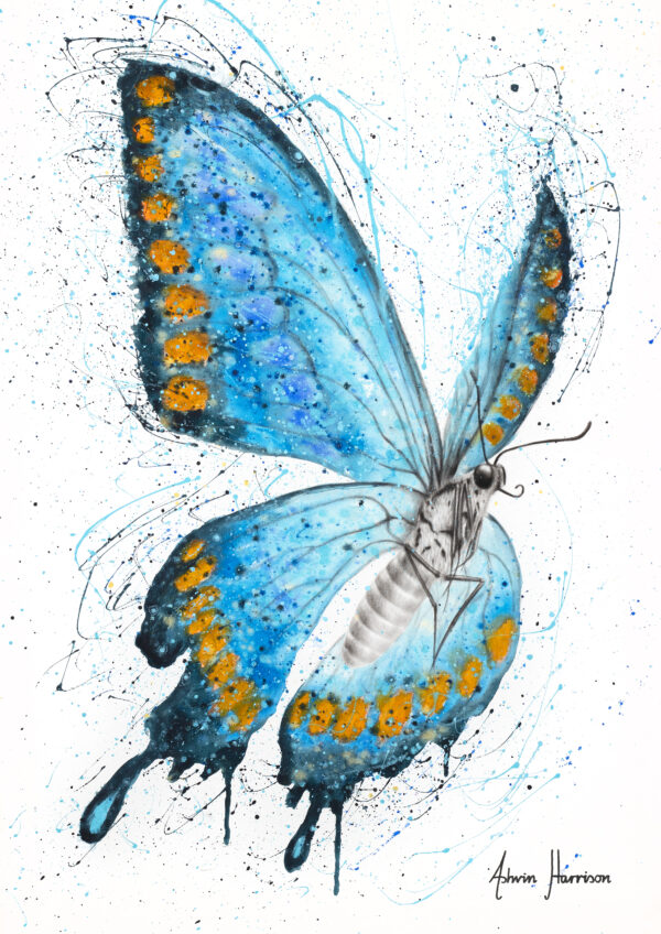 Ashvin Harrison Art- Fresh Morning Butterfly