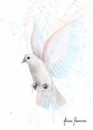 Ashvin Harrison Art- Peace Dove