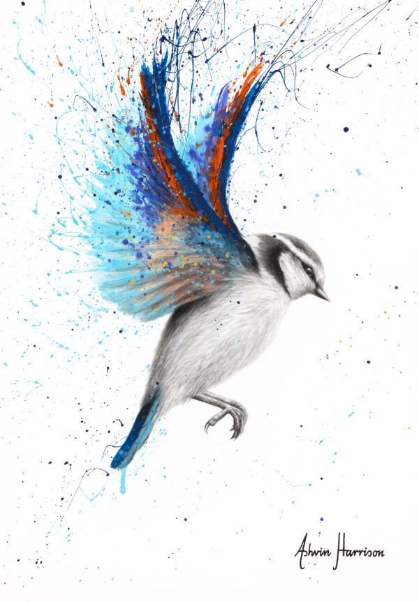 Ashvin Harrison Art- Sunset Feather Finch