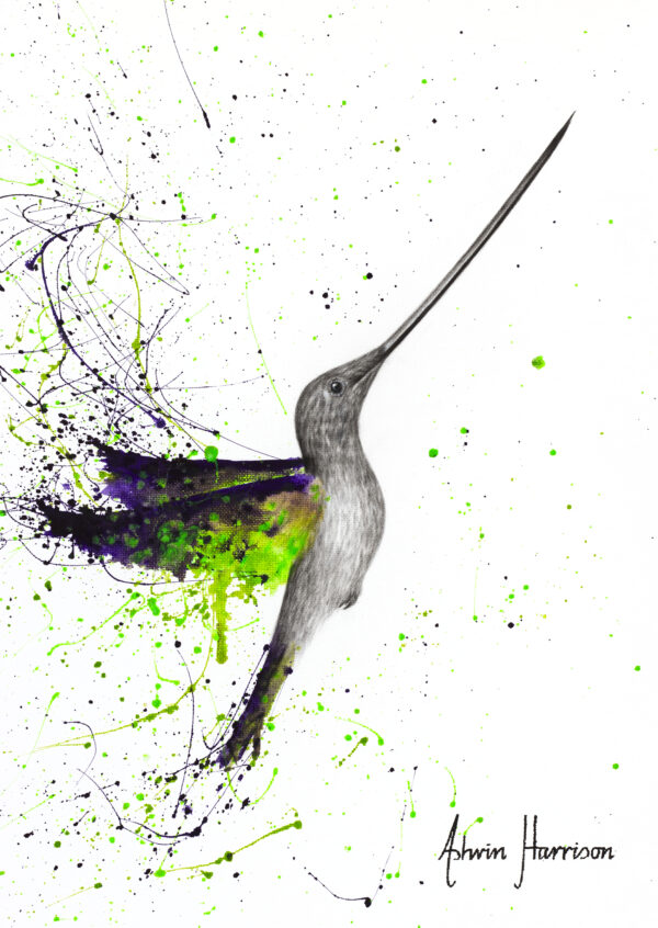 Ashvin Harrison Art- Joyful Garden Hummingbird
