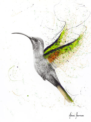 Ashvin Harrison Art- Hero Hummingbird