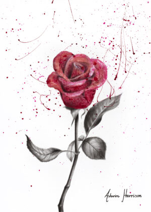 Ashvin Harrison Art- Wine Petal Rose