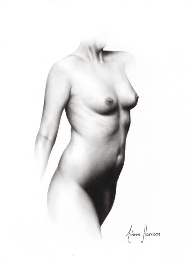 Ashvin Harrison Art- Nude 68
