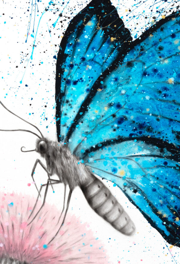 Ashvin Harrison Art- Sugar Butterfly 3