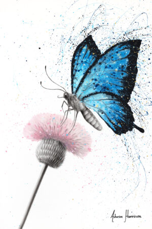 Ashvin Harrison Art- Sugar Butterfly