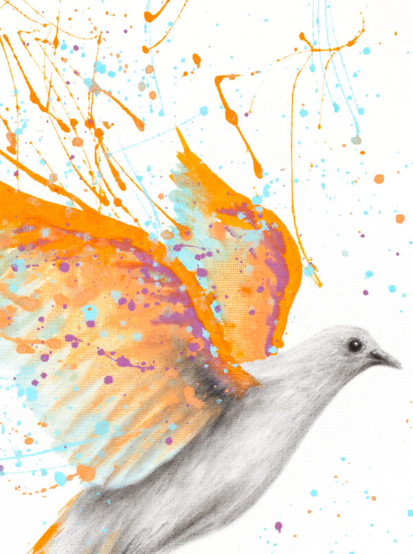 Ashvin Harrison Art- Summer Peace Dove 3