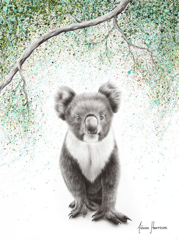 Ashvin Harrison Art- Koala Pride