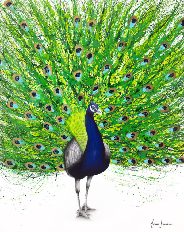 Ashvin Harrison Art- Peaceful Peacock