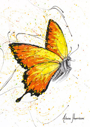Ashvin Harrison Art- Warm Summer Butterfly