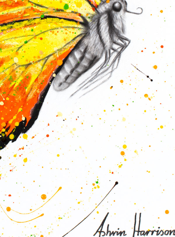 Ashvin Harrison Art- Warm Summer Butterfly 4