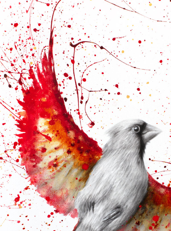 Ashvin Harrison Art- Golden Feather Cardinal3