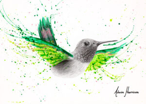 Ashvin Harrison Art - River City Hummingbird