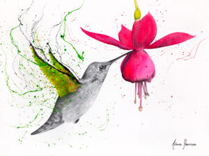 Ashvin Harrison Art- Spring Garden Hummingbird