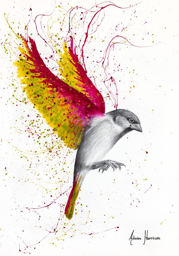 Ashvin Harrison Art- Groovy Grove Bird