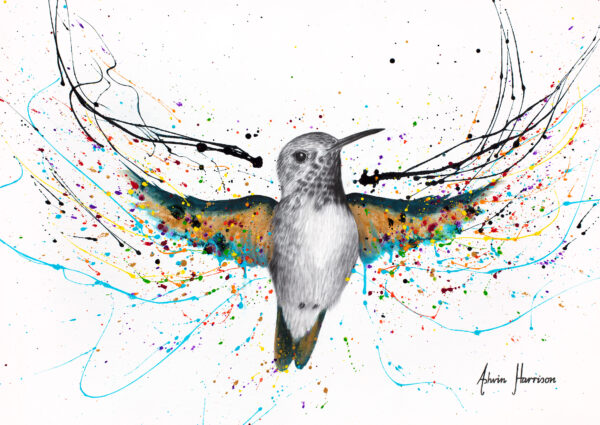 Ashvin Harrison Art - Hummingbird Symphony1