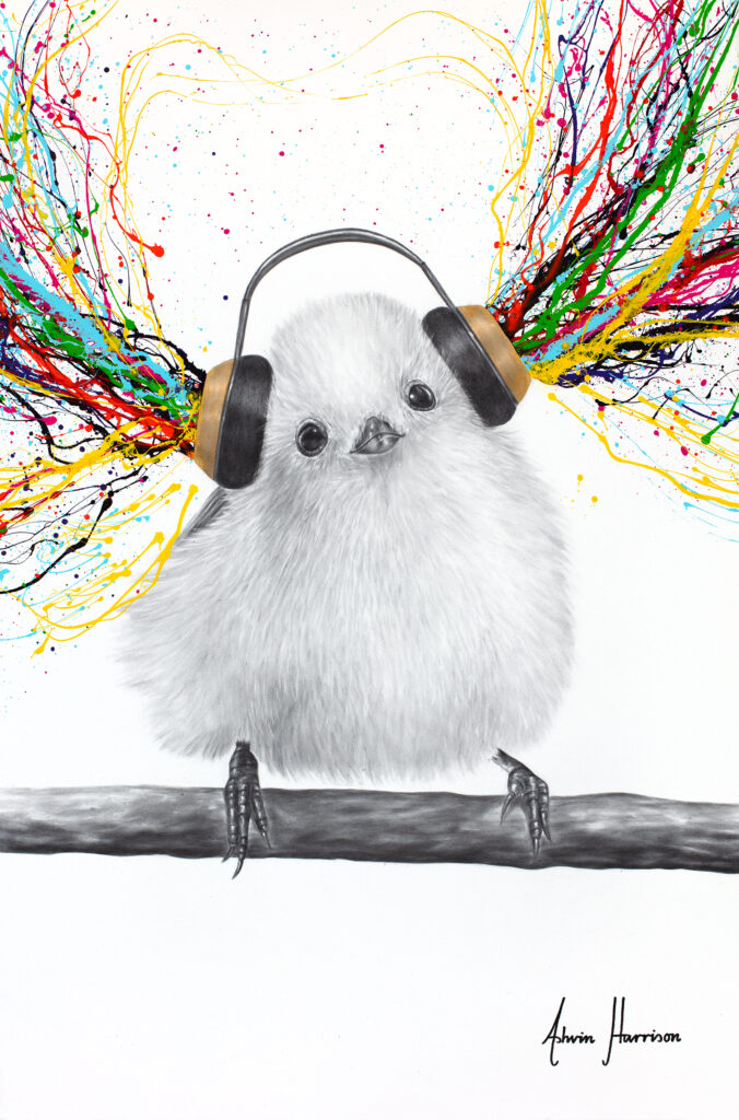 Ashvin Harrison Art- Happy Fluffy- Funky Beats