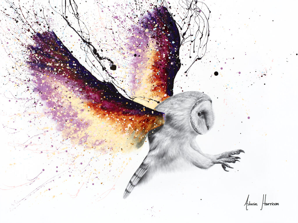 Ashvin Harrison Art- Vanilla Sky Owl