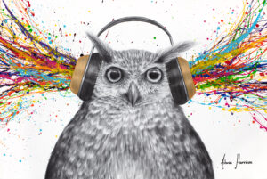Ashvin Harrison Art- Loud Owl