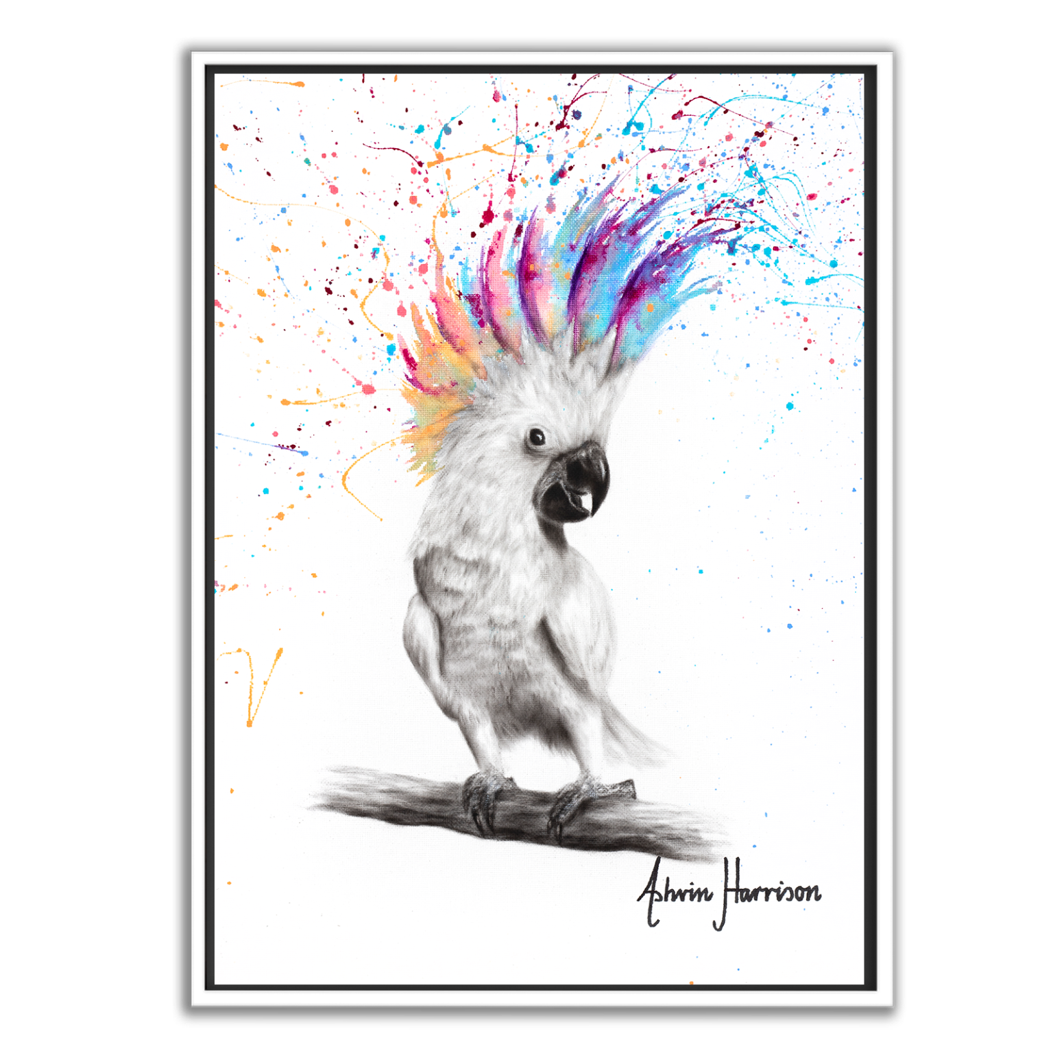Proud To Be Print Fine Art Wall Prints Ashvin Harrison