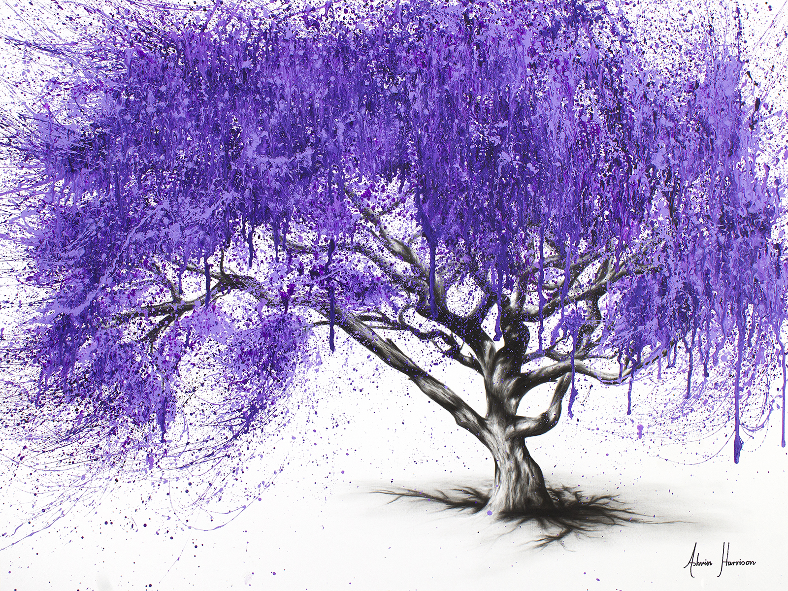 Meet You At The Jacaranda 2017