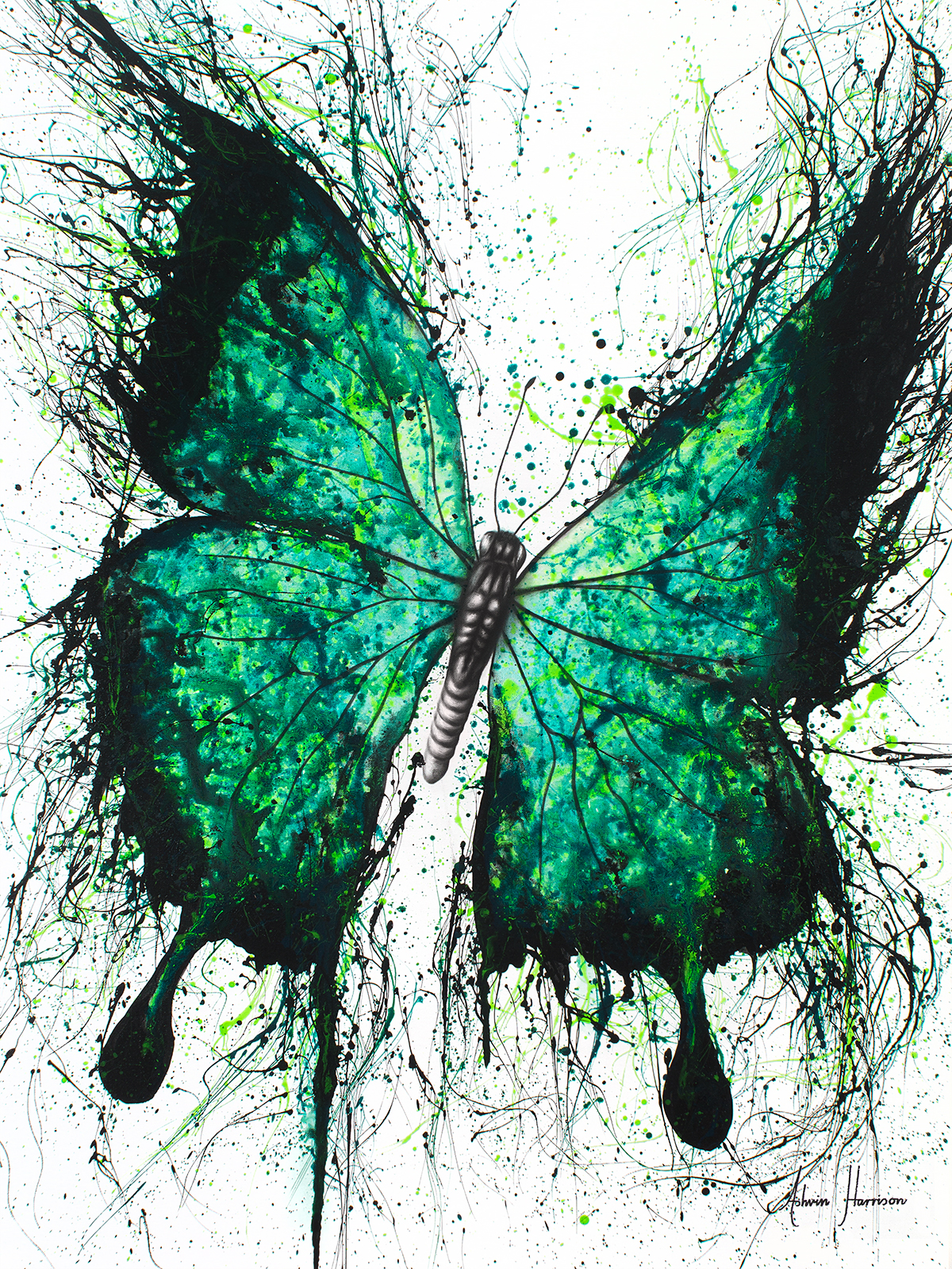 Night Garden Butterfly 2017