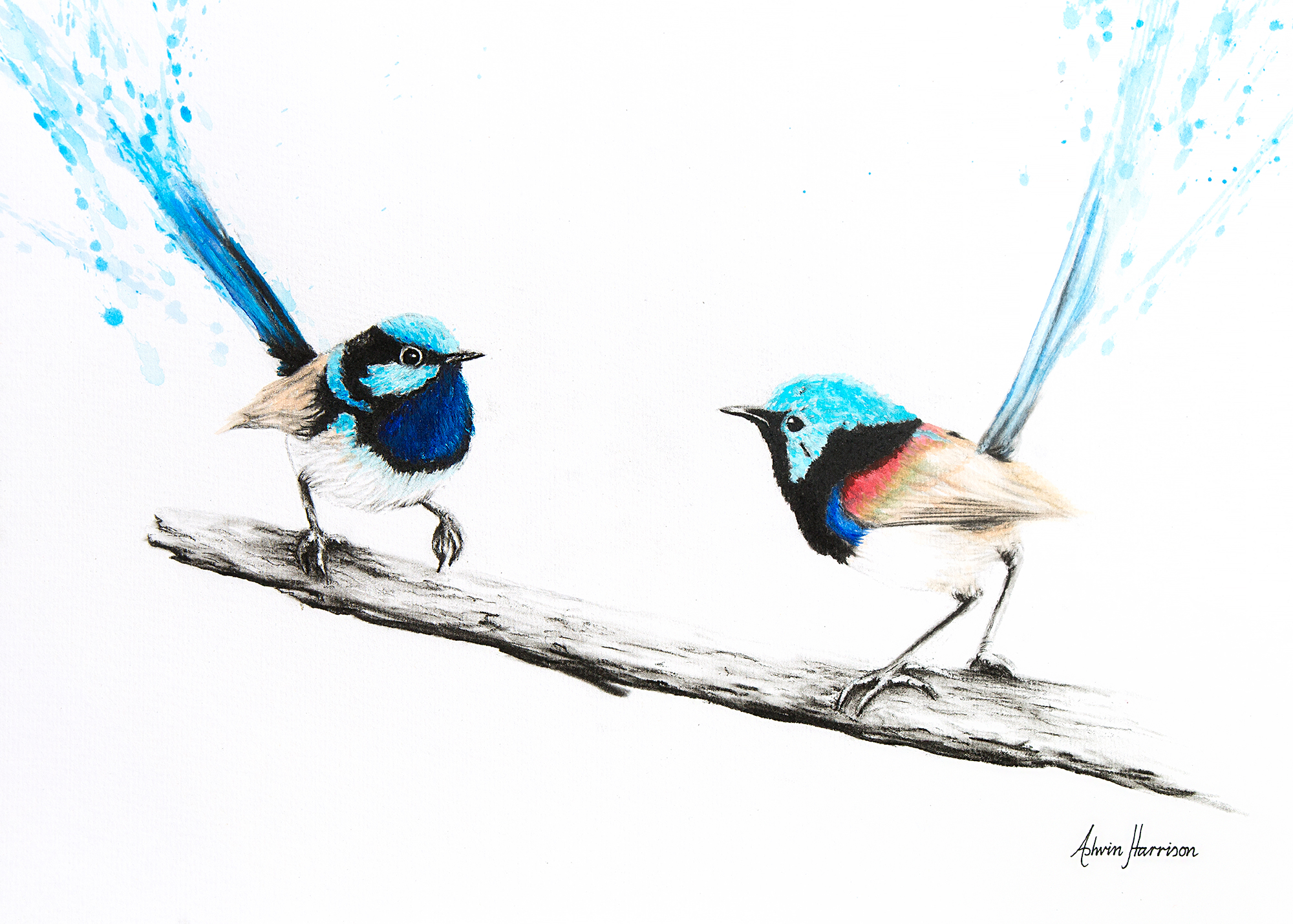 Ashvin Harrison Art- Wren Goodbye 2017