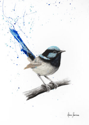 Wren Whisper 2018