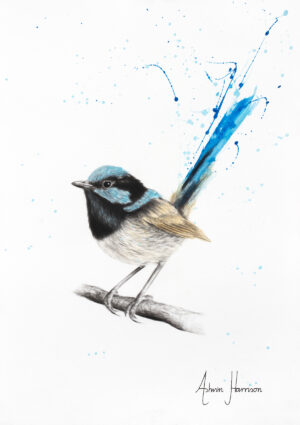 Wren Wisdom (2019) - Fine Art Edition Print